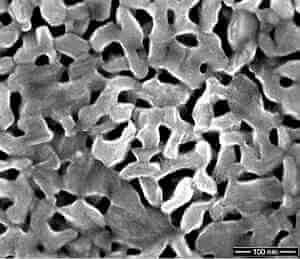 Scanning electron micrograph of a porous V2O5 layer.